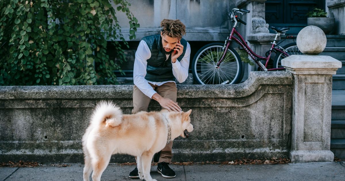 Propriétaire téléphonant avec son chien à proximité