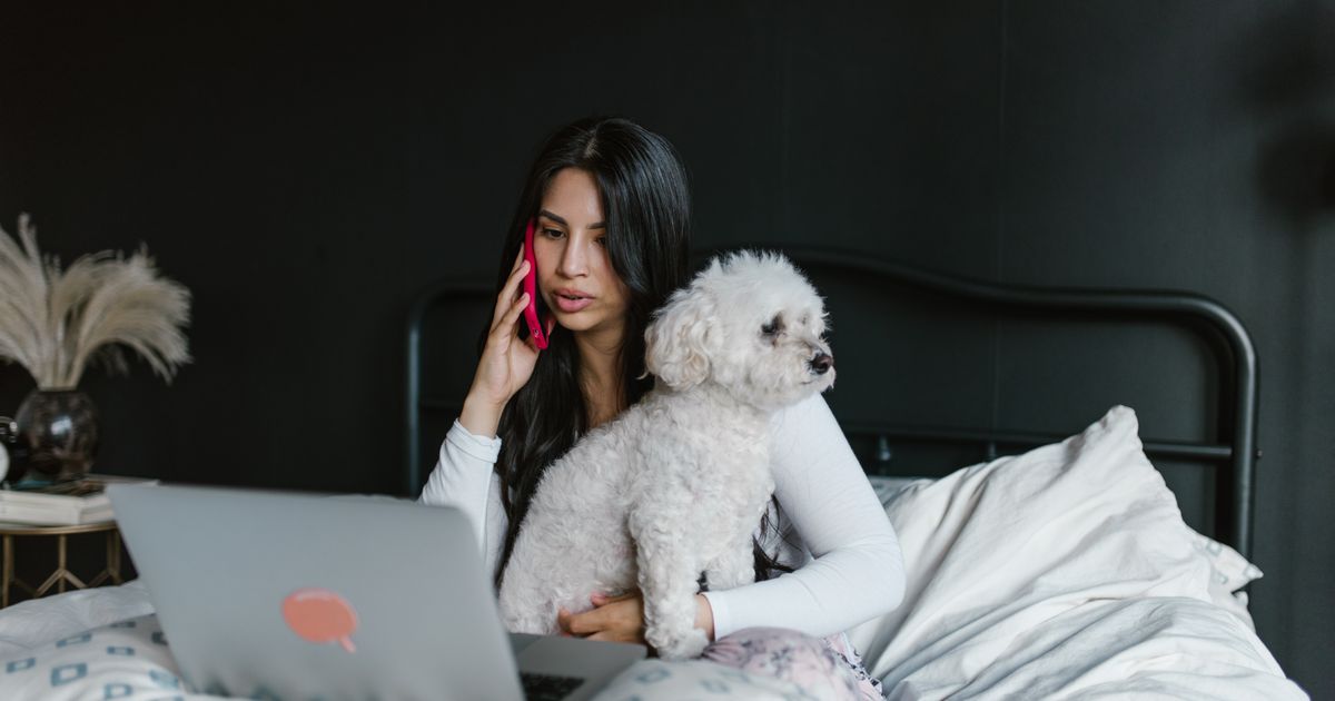 Propriétaire appelant avec son chien à proximité