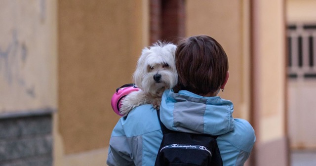 Personne portant délicatement un chien