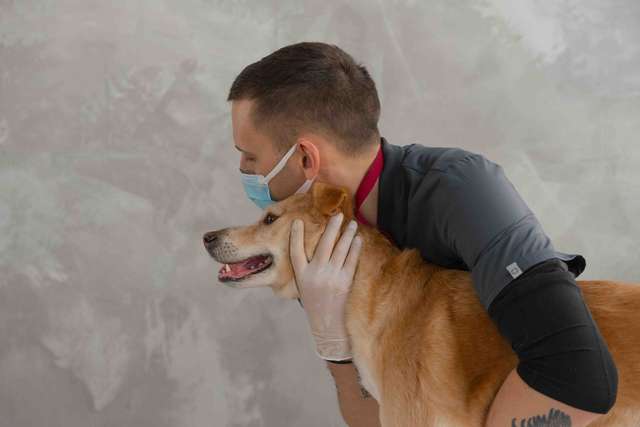 Preuve scientifique osteopathie animale